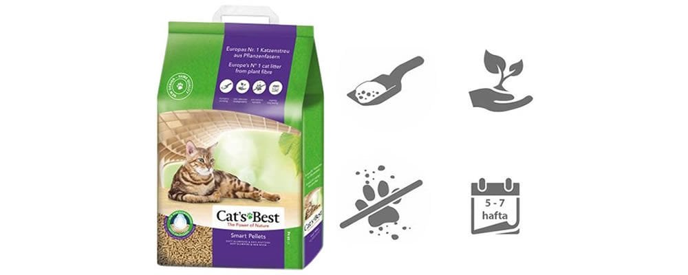 Kedi Kumu İle İlgili Bilmeniz Gerekenler!