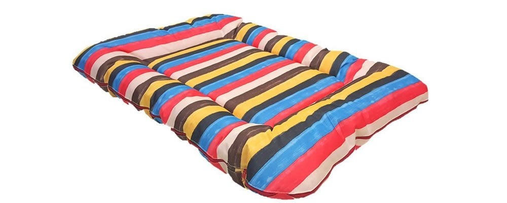 Soğuk Havalarda Cam Önünde Patileri Üşümesin