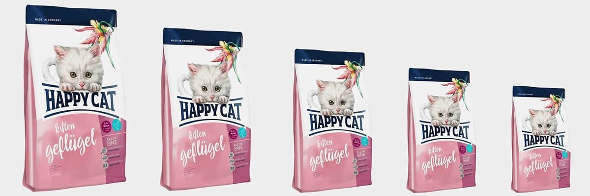 Yavru kedi maması hangi aylarda kullanılır ?