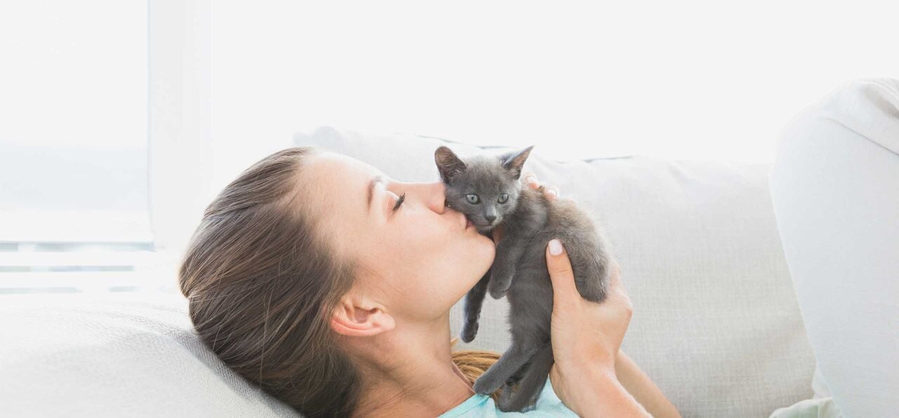 Yavru Kedi Bakımı