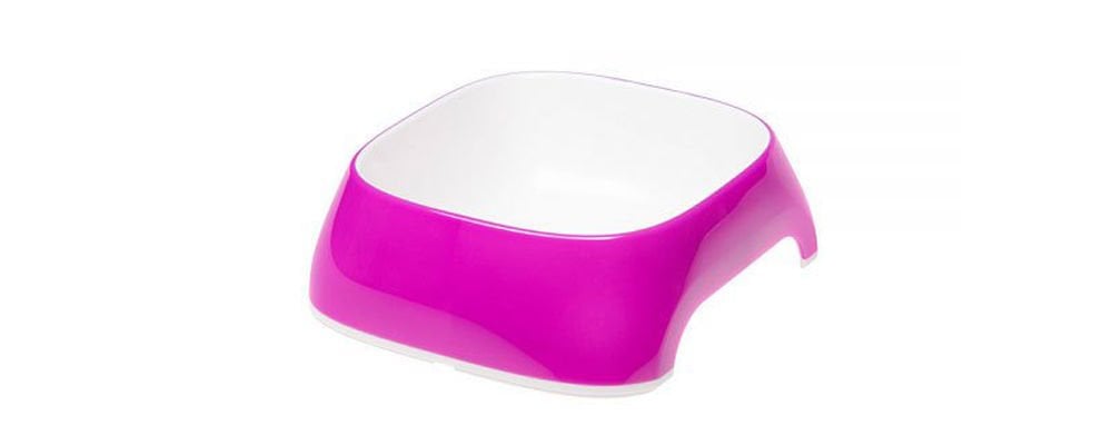 Yavru Kediler İçin Su Kabı Seçiminin Önemi