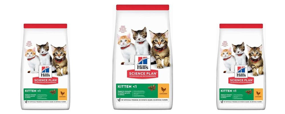 Yavru Kedilere Verilmemesi Gereken Besinler