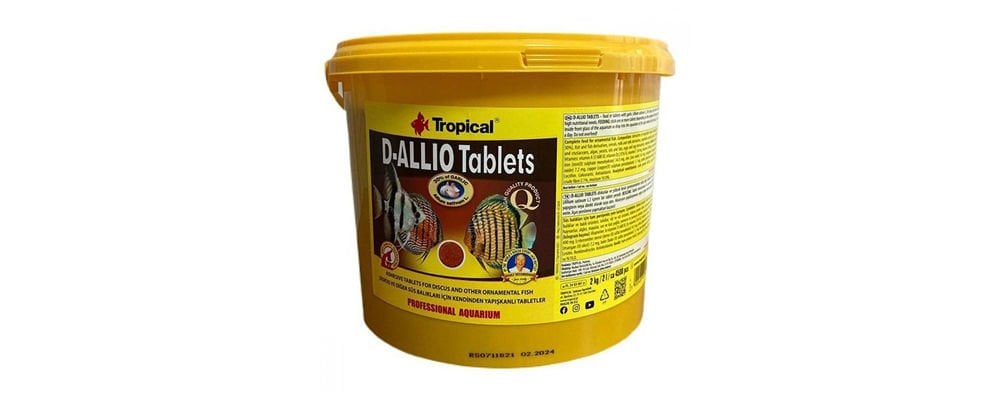 Doğru Balık Yemi Nasıl Seçilir