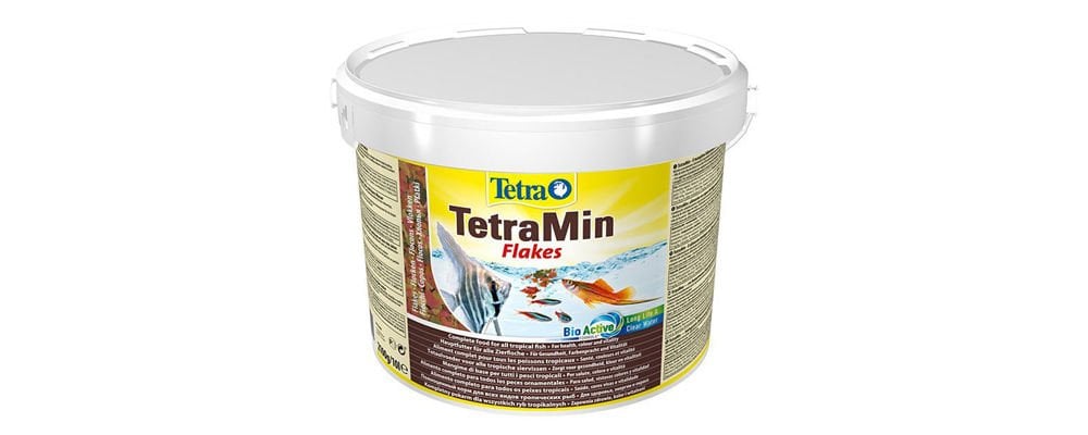 Balığınıza Günlük Ne Kadar Balık Yemi Vermelisiniz