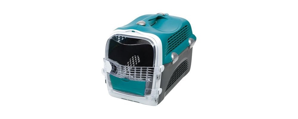 Büyük Kedi Taşıma Kafesi Uçağa Alınır Mı ?