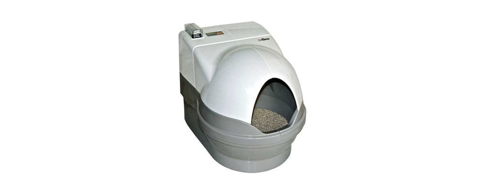 Kedi Tuvaleti Nedir?