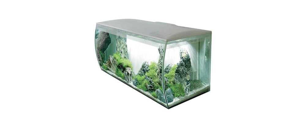 Başlıca Akvaryum Ekipmanları Nelerdir?