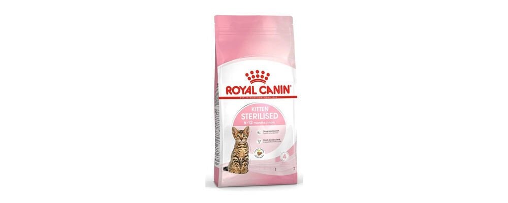 Yavru Kediniz İçin Hangi Kedi Maması Alınmalı