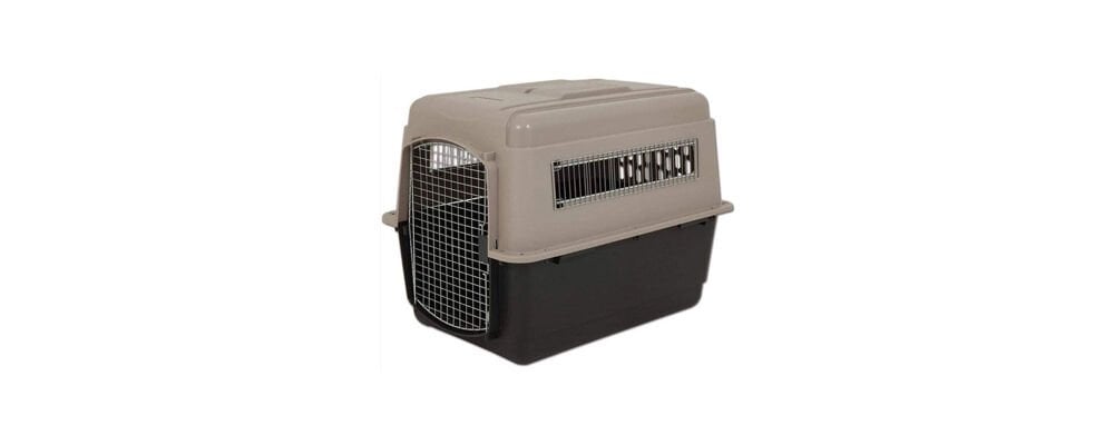 Köpek Kafesi Boyut Olarak Ne Kadar Olmalı
