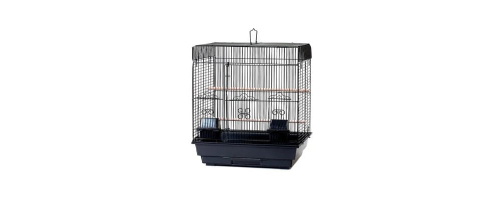 İçerisinde Birden Fazla Kuşu Besleyebileceğiniz Kuş Kafesi Modelleri Hangileri