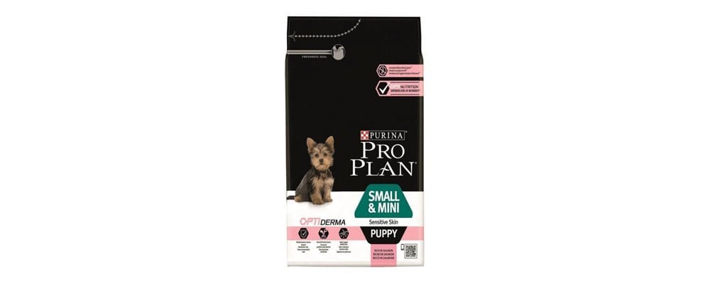 Köpeklere Sürekli Kuru Mama Vermek Doğru mu?