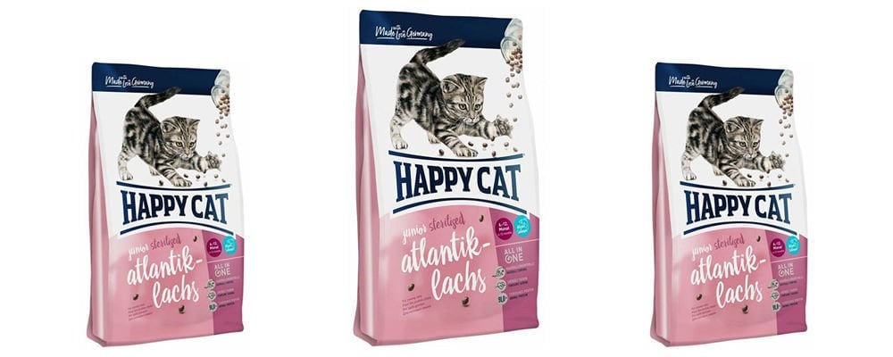 Kısırlaştırılmış Kediler İçin Özel Bir Lezzet