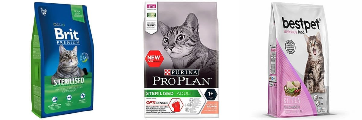 Yaşlı kedilerin beslenmesi için hangi mamalar tercih edilmelidir ?