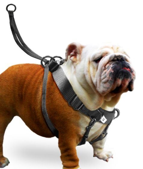 Karlie Easy Walker Kolay Yürüyüş Köpek Göğüs Tasması 52 x 84 cm XLarge