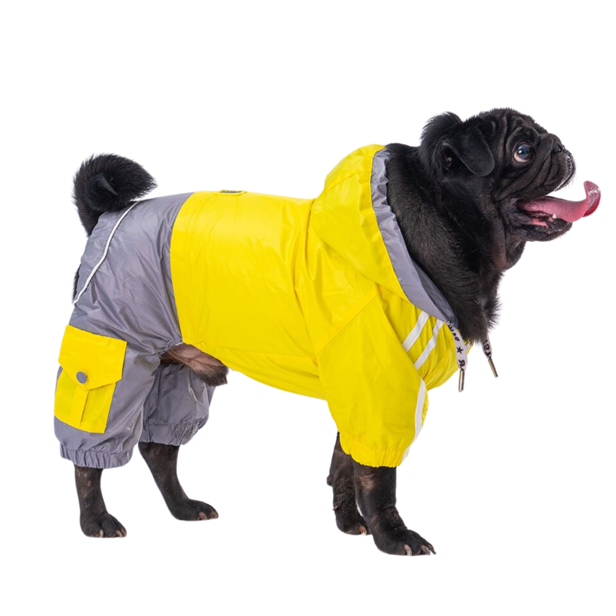 PawStar Sarı Gri Bicolor Küçük Irk Köpek Tulum Yağmurluk Medium
