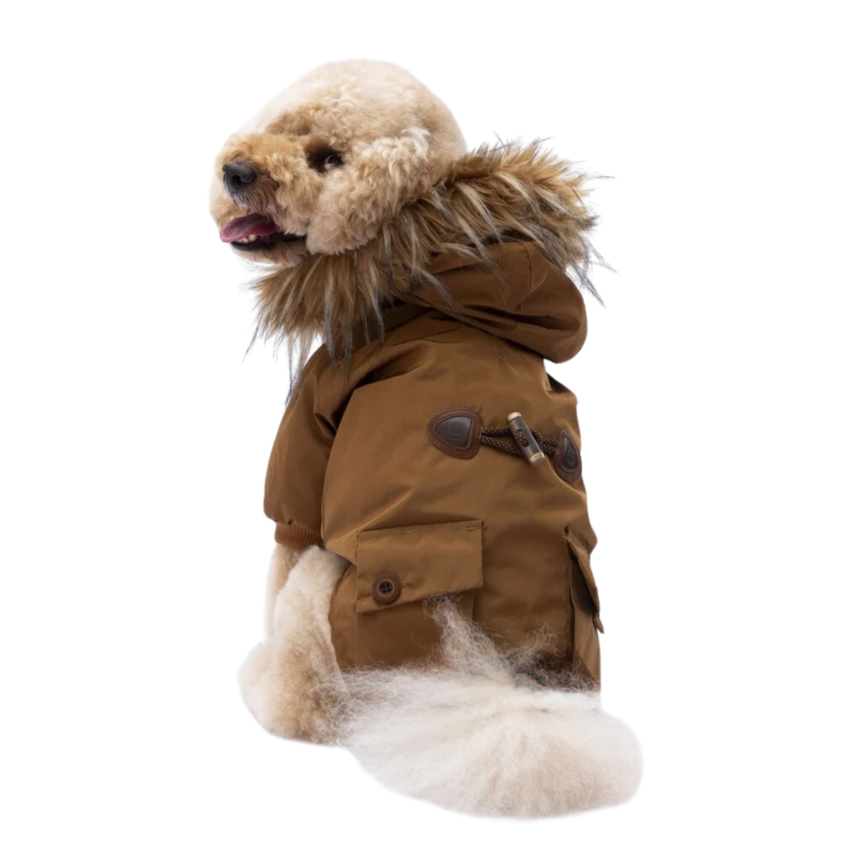 PawStar Camel Charles Küçük Irk Köpek Yağmurluk Medium