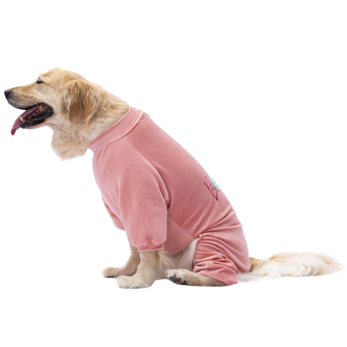 PawStar Rose Angers Orta Irk Köpek Tulum Kıyafet 7XL