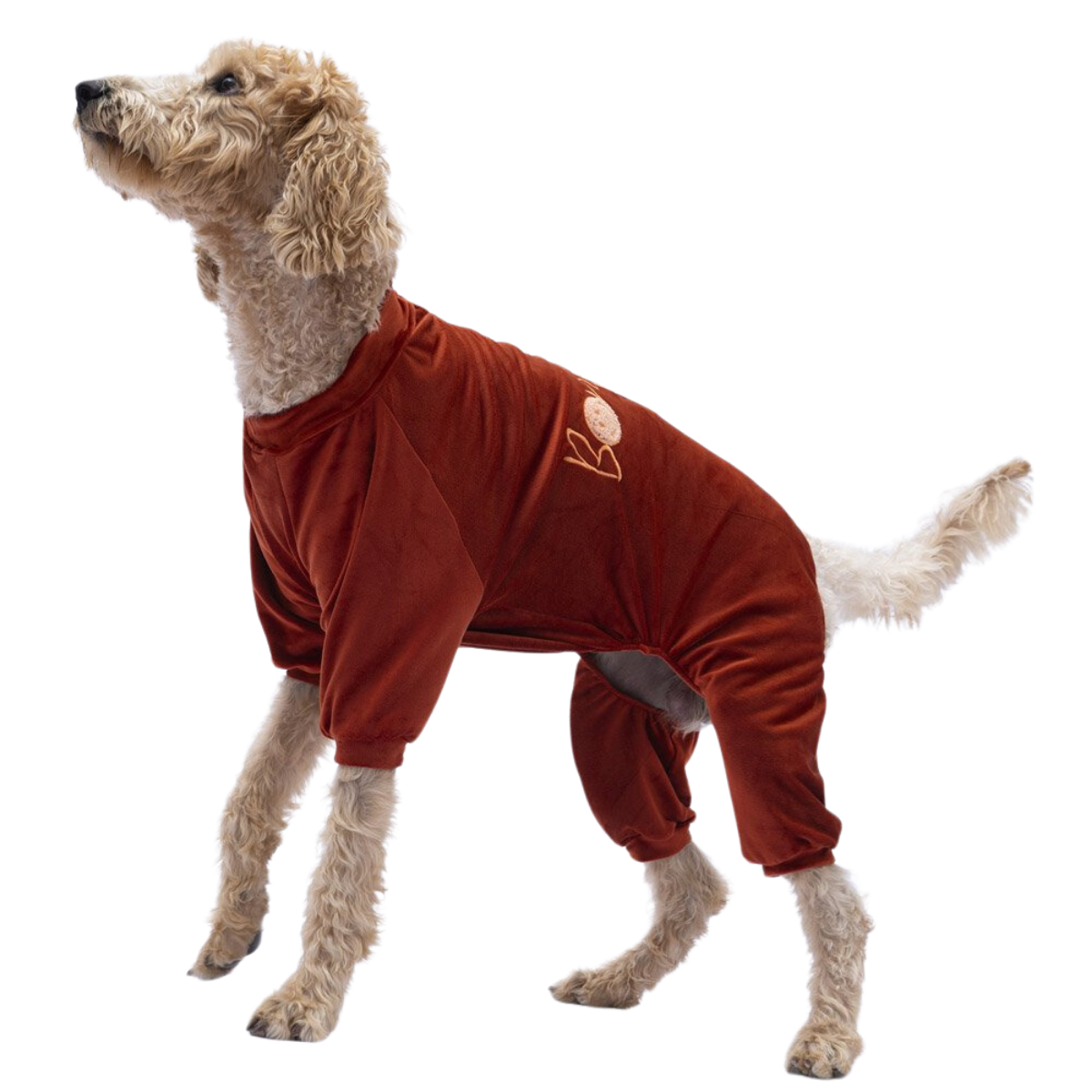 PawStar Kiremit Angers Orta Irk Köpek Tulum Kıyafet 3XL