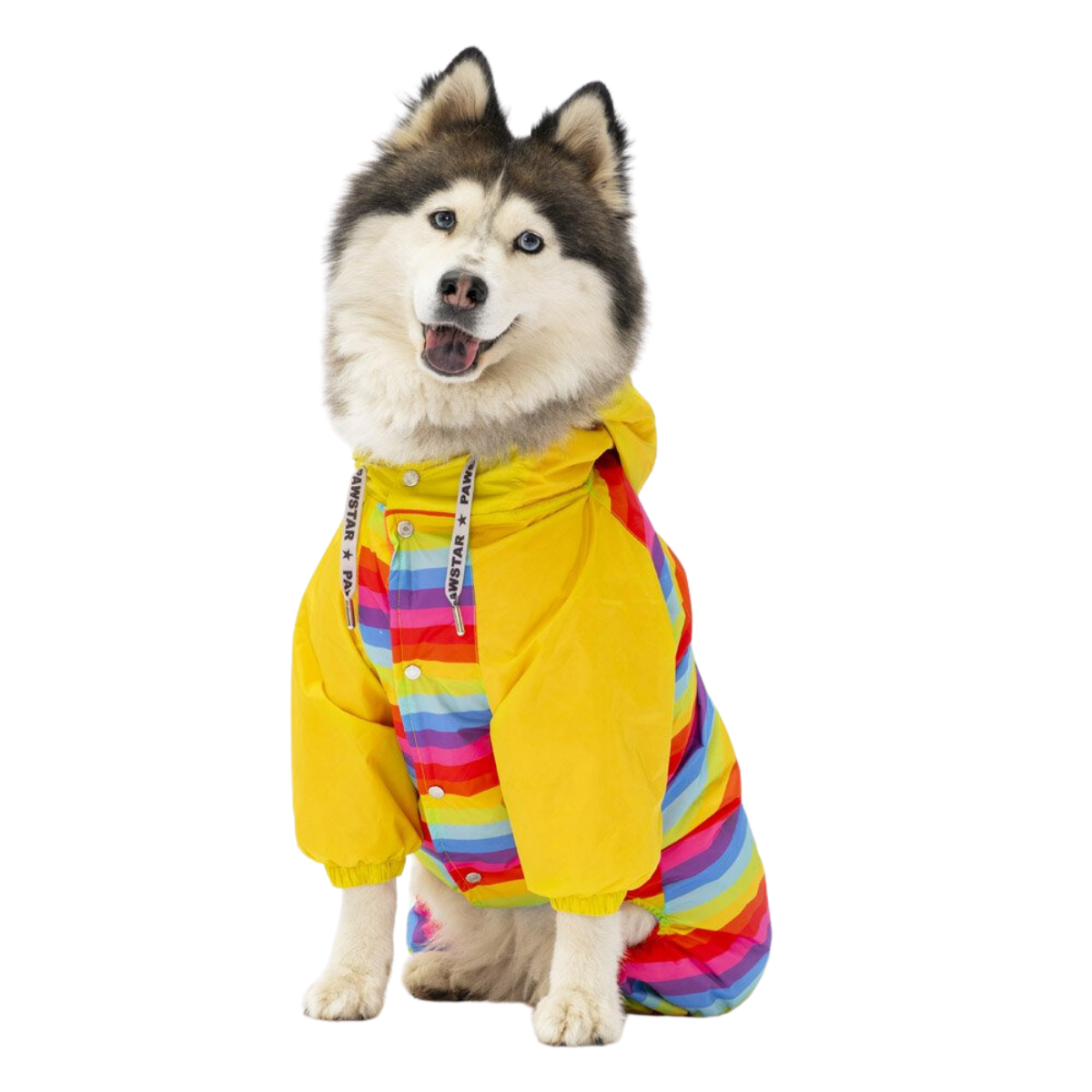 PawStar Peru Orta Irk Köpek Yağmurluk Mont 4XL