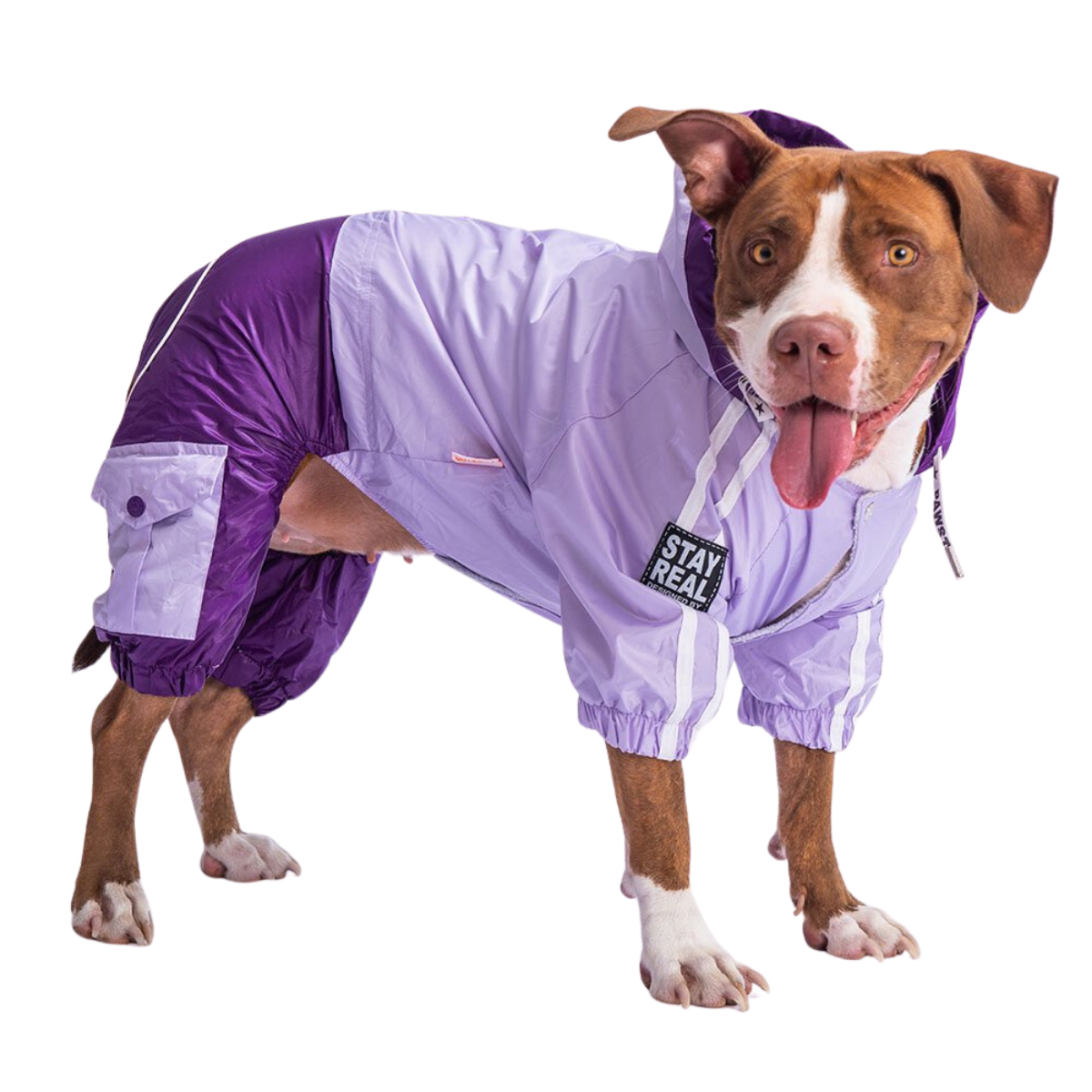 PawStar Lila Mor Orta Irk Köpek Tulum Yağmurluk 5XL