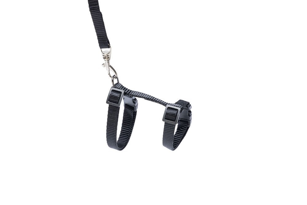 Karlie Kitten Ziggi Black Yavru Kedi Göğüs Tasması Takım Siyah