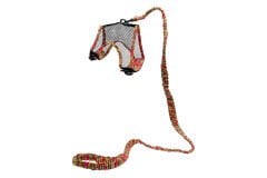 Karlie Harness With Leash Art Joy Mix Kemirgen Tasması
