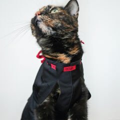 Petsuit Yara Koruyucu Korse XS Plus