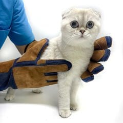 Petsuit Koruyucu Eldiven 50 Cm Lacivert Taba