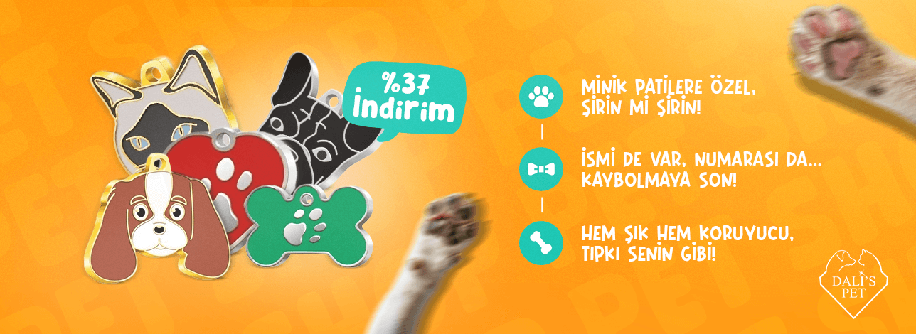 kedi köpek künyesi