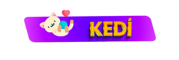 kedi malzemeleri pet shop