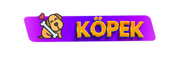 köpek malzemeleri pet shop