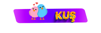 kuş malzemeleri pet shop
