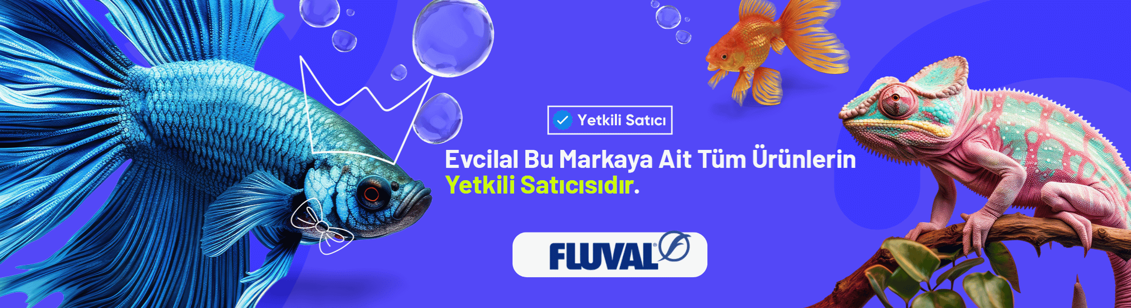 Fluval akvaryum ürünleri