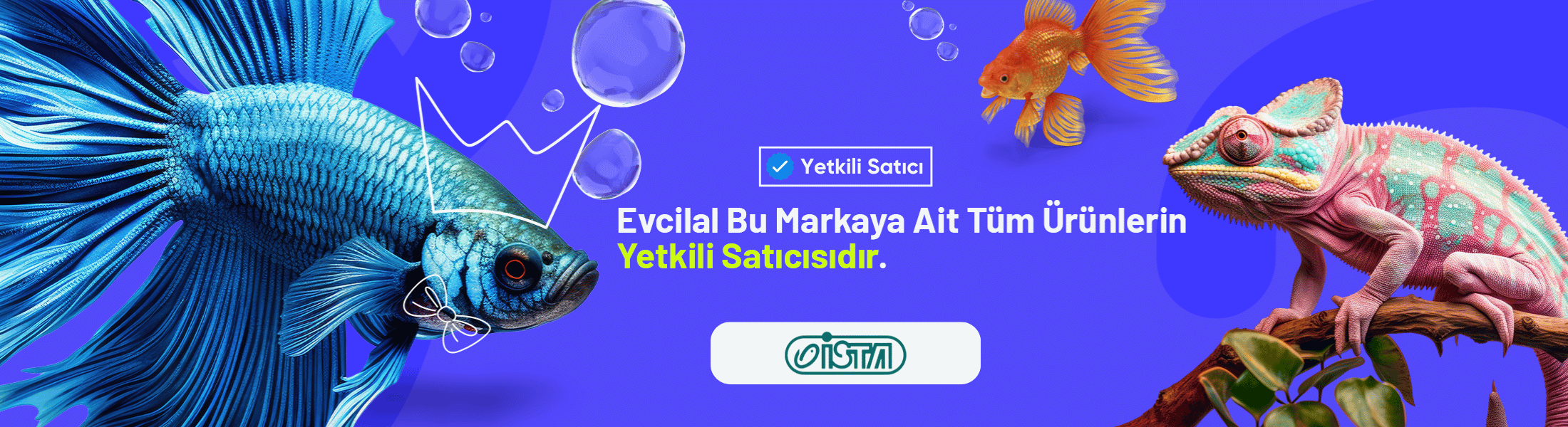 Ista akvaryum ürünleri