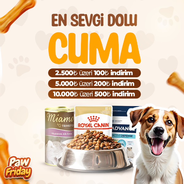 evcilal petshop kasım kampanyası