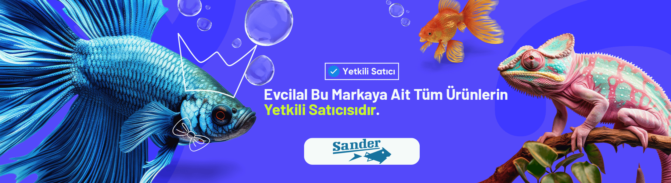Sander akvaryum ürünleri
