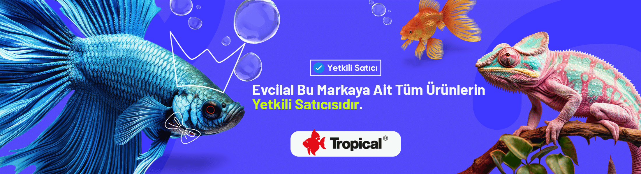 tropical akvaryum balık yemi