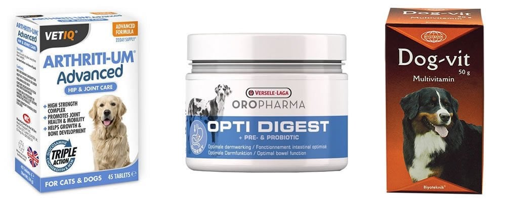 Yaşlı Köpek Dostlarımız İçin Vitamin Takviyeleri