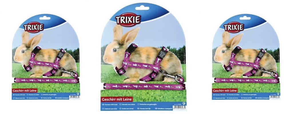 Minik Kemirgeninizi Gezdirirken En Büyük Kolaylık