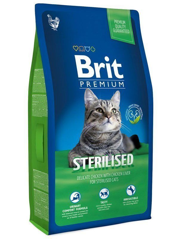 Yetişkin kedi maması kedinin hangi yaşlarında kullanılır ?