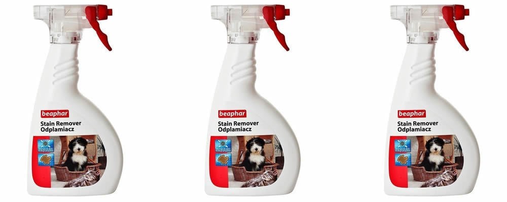 Köpek Ve Kedi Dostlarımızda Lekeleri Ve İşaretleri Yok Edin