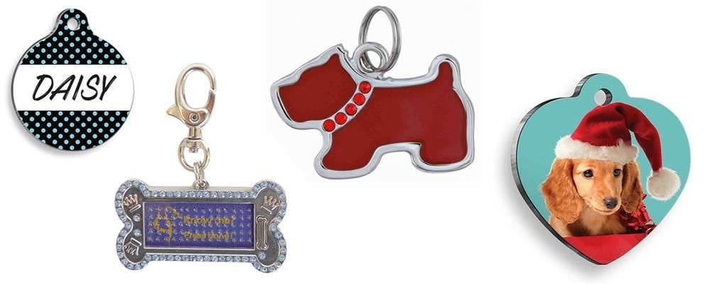 Köpek İsimlikleri Neden Önemlidir?