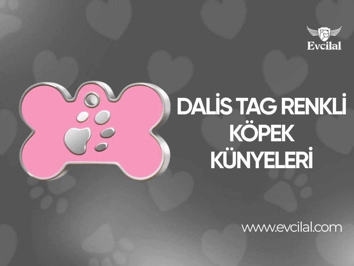 Köpeğine Künye Sevenler için Dalis Tag Markalı Renkli Modeller