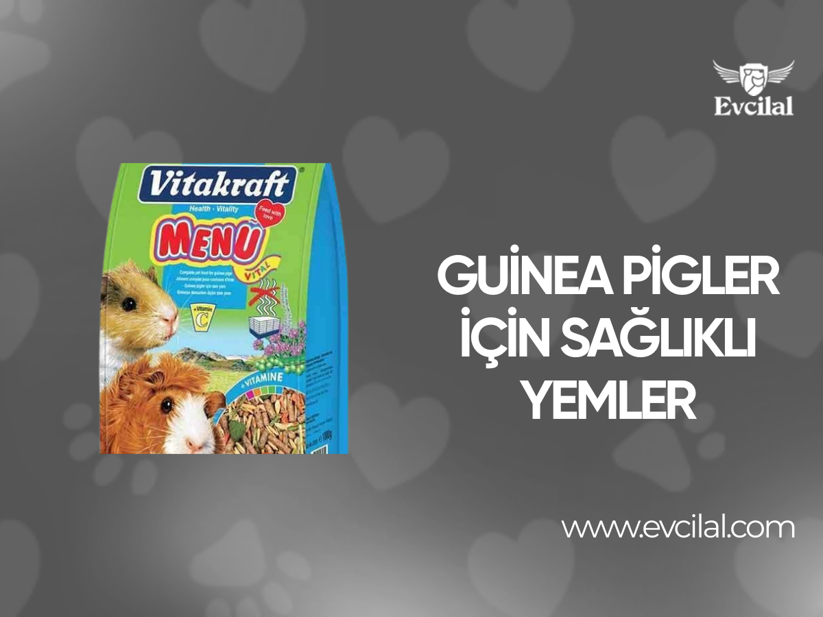 Guinea Pigler İçin Sağlıklı Yemler