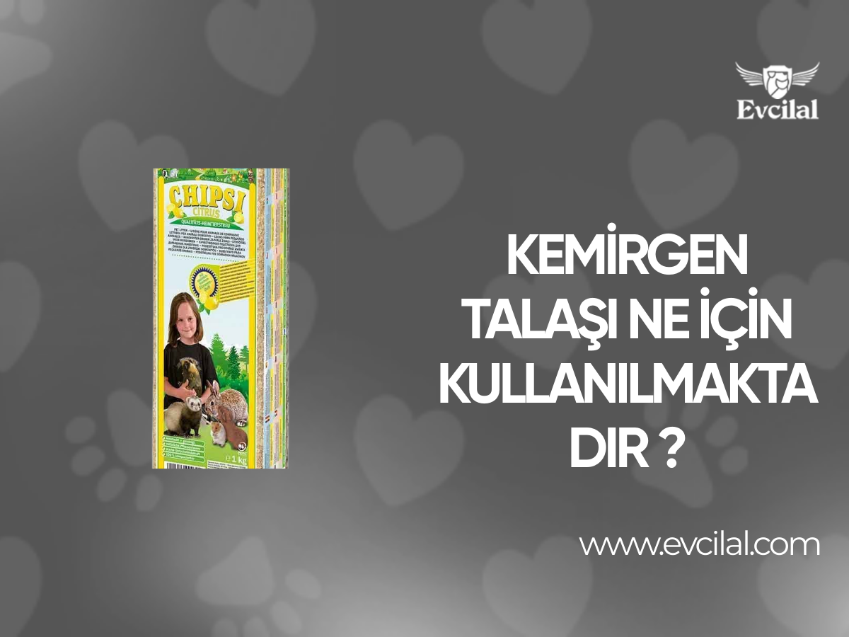 Kemirgen Talaşı Ne İçin Kullanılmaktadır ?