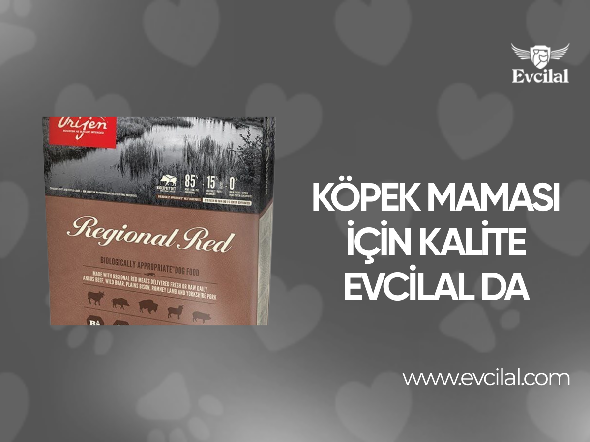Köpek Maması İçin Kalite Evcilal Da