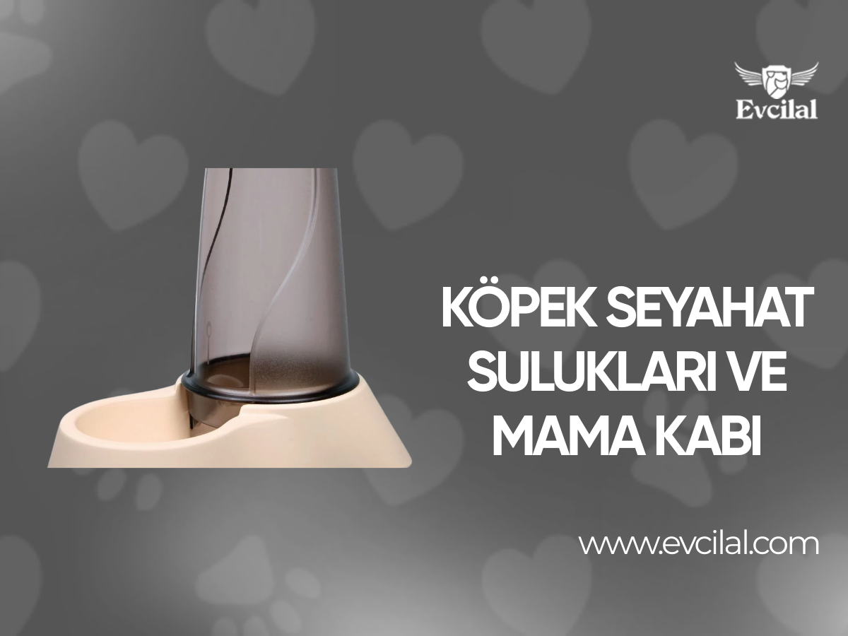 Köpek Seyahat Sulukları ve Mama Kabı