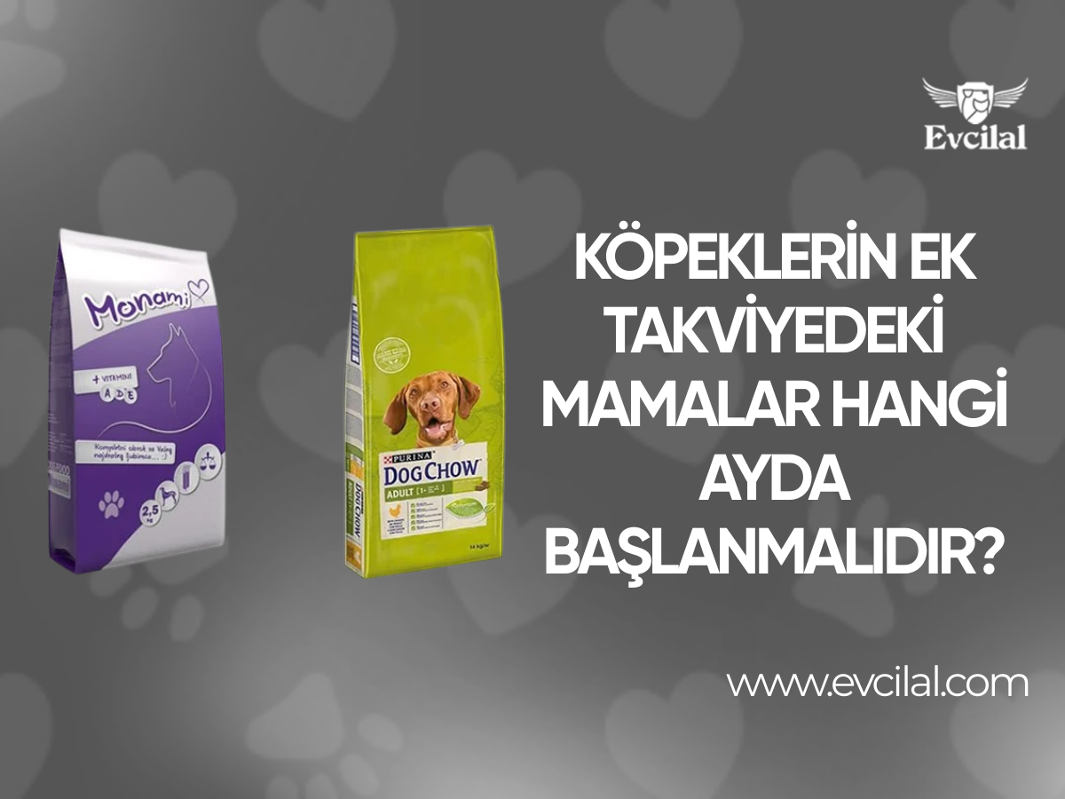 Köpeklerin ek takviyedeki mamalar hangi ayda başlanmalıdır?