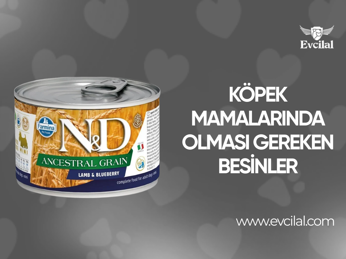 Köpeklerin öğünlerinde aldıkları mamalarda hangi besinler olmalıdır?