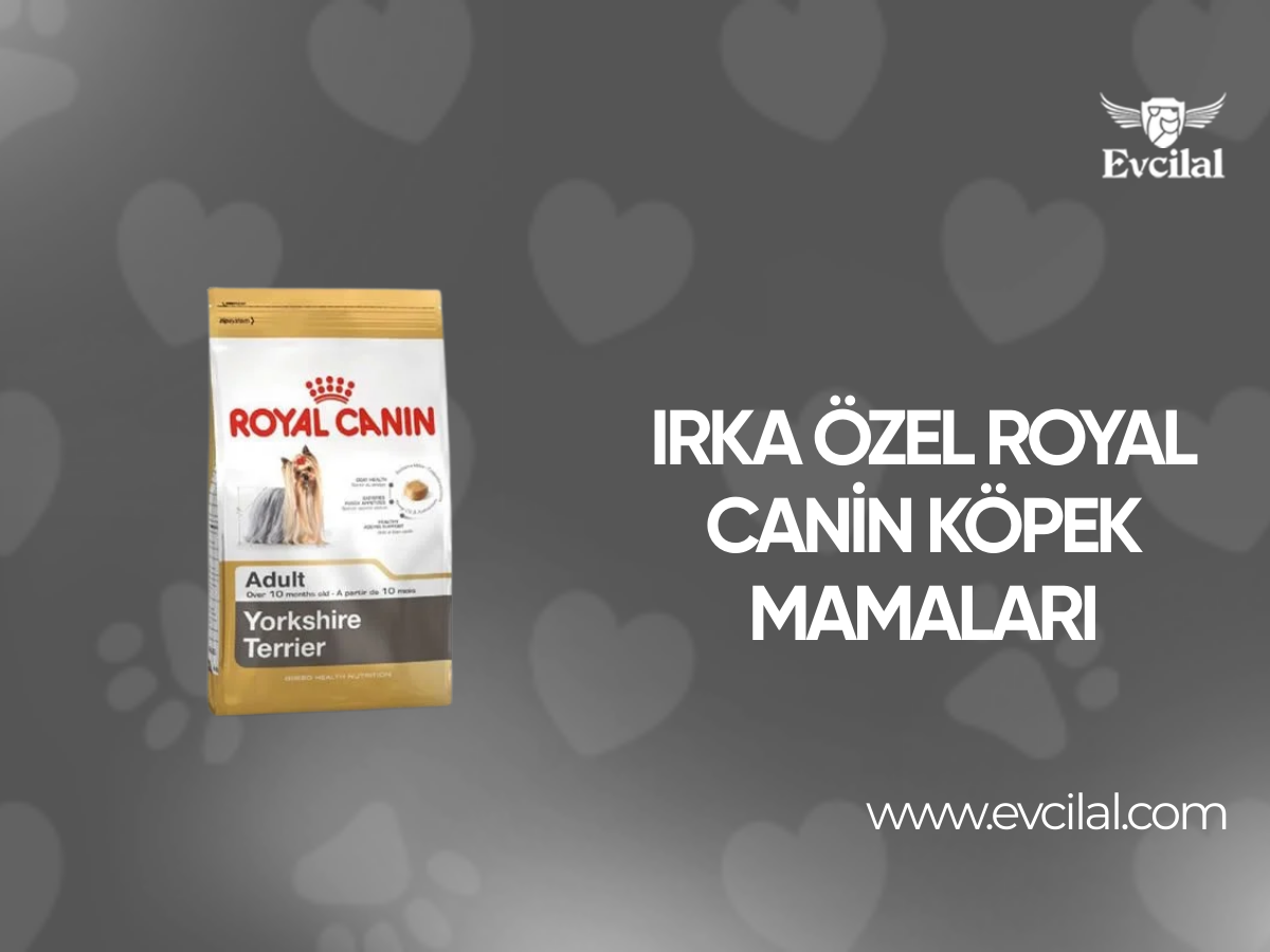 Özel ırka sahip olan köpeklerin kullanacağı royal canin marka yemler